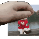 Food Pet Pet Gif